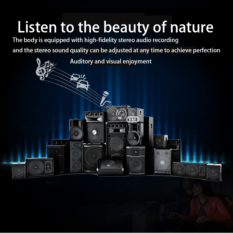 Central control screen/Android screen/navigation screen(12.3inch)